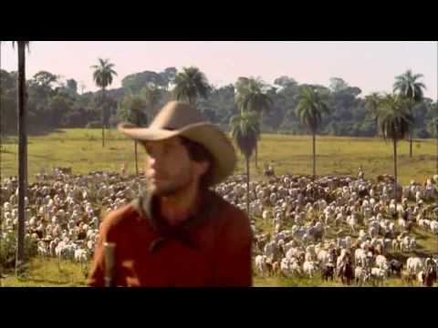 TRAILER DO FILME O Menino da Porteira (NACIONAL) [HD - High Definition | Alta Definição]