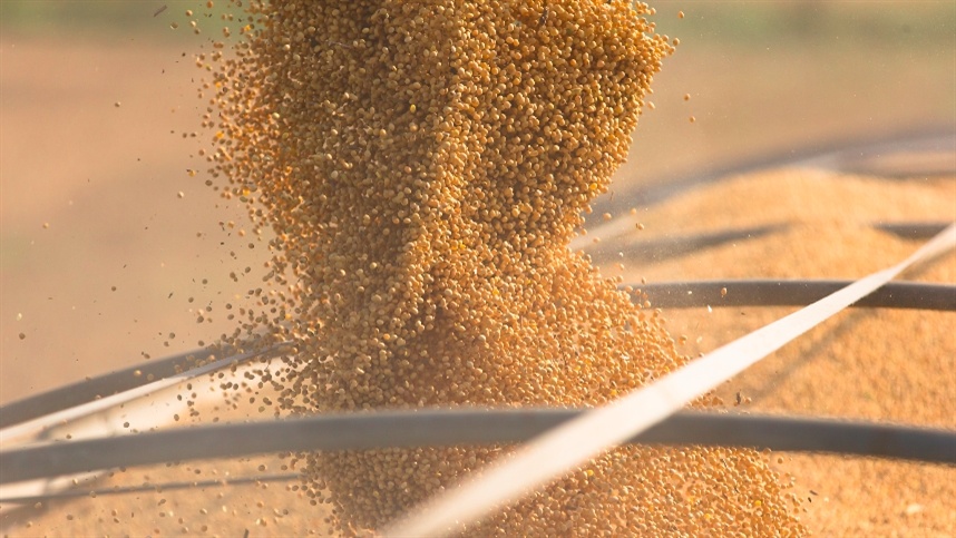 Cenário de incertezas nos EUA impacta a demanda global Cenário de incertezas nos EUA impacta a demanda global