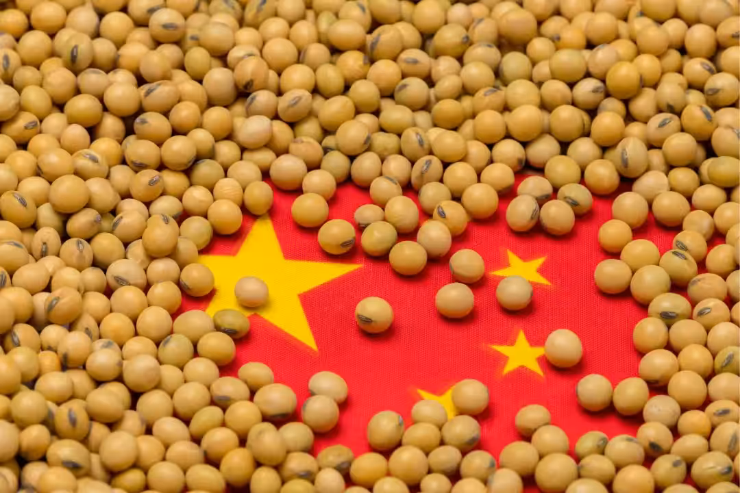 Estatal chinesa assina Cofco acordos de mais de US$ 10 bilhões com tradings internacionais durante feira em Xangai