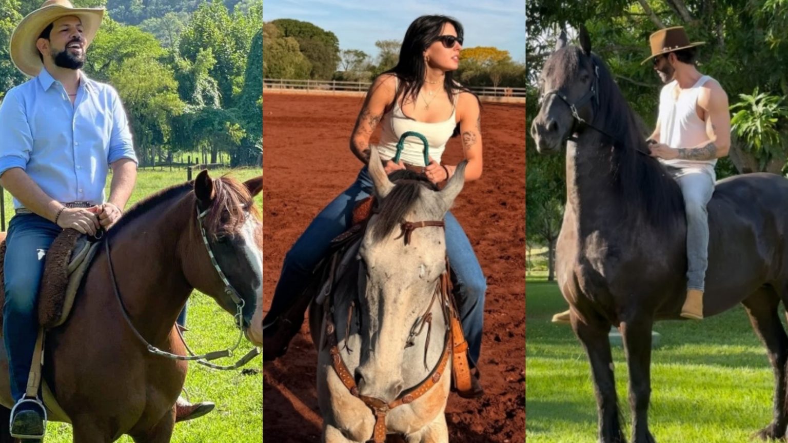 Como a Cultura Sertaneja Transforma o Agro em Estilo de Vida Como a Cultura Sertaneja Transforma o Agro em Estilo de Vida