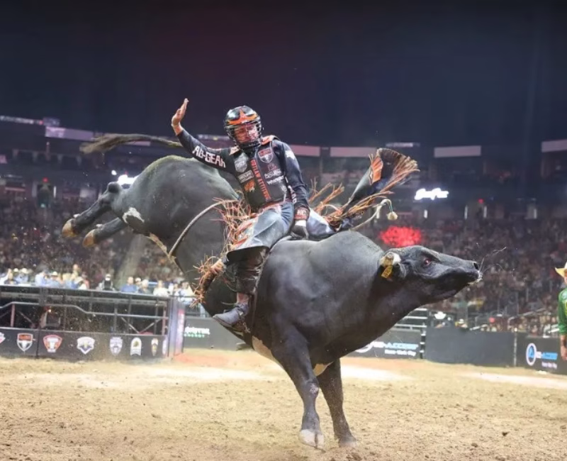 Descubra a Programação Imperdível do Taubaté Expo Rodeo 2025! Descubra a Programação Imperdível do Taubaté Expo Rodeo 2025!