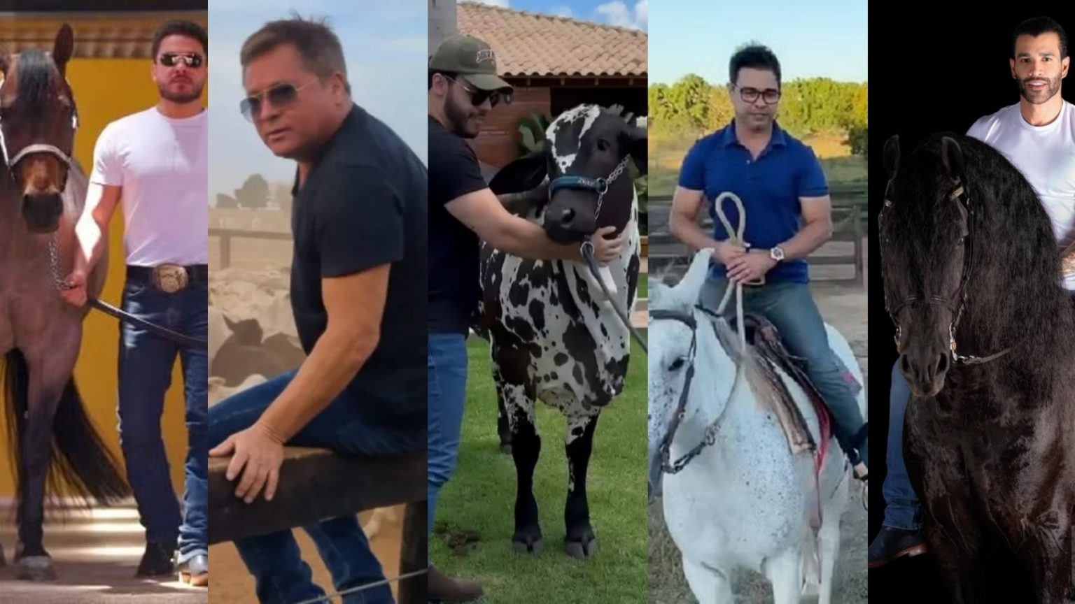 Os Reis do Agro: Confira a lista dos sertanejos que faturam milhões no agronegócio Descubra os Sertanejos Que Transformam o Agronegócio