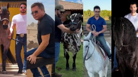 Os Reis do Agro: Confira a lista dos sertanejos que faturam milhões no agronegócio Descubra os Sertanejos Que Transformam o Agronegócio