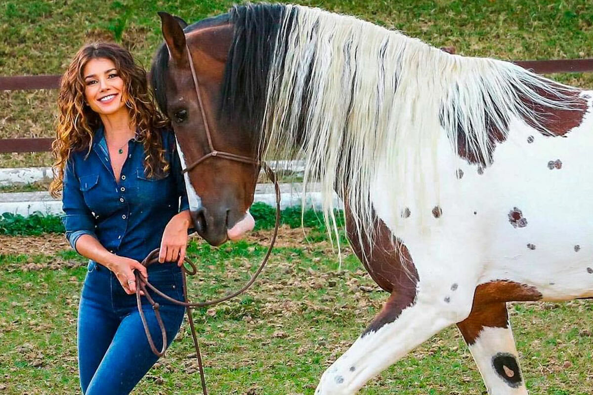 Fazendeiros do Sertanejo: Descubra os Segredos Lucros