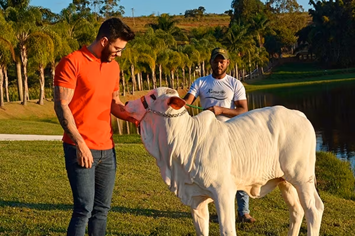 Gusttavo Lima revela investimento impressionante em imóveis luxuosos