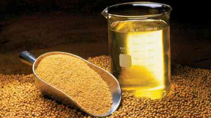 Impacto dos Derivados: Soja em Queda na CBOT Impacto dos Derivados: Soja em Queda na CBOT