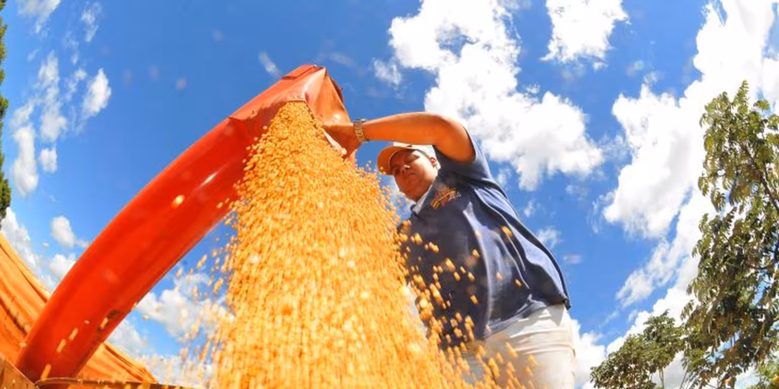 Safra de 2026: O que esperar após um 2025 histórico?