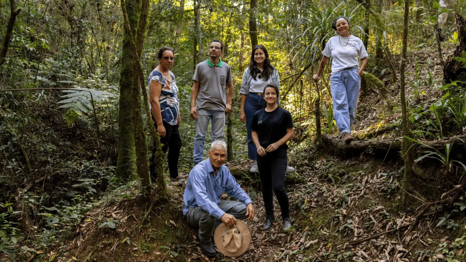 Transforme sua Renda Rural: Agroflorestas como Solução Definitiva Transição da pecuária para agroflorestas pode dobrar renda rural no Brasil