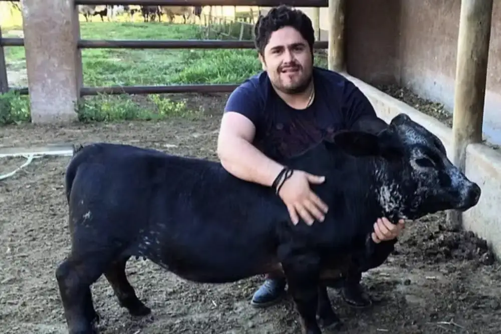 Fazenda luxuosa de César Menotti impressiona com mini animais e criação de elite Rancho Capitão do Mato, avaliado entre R$ 20 e 30 milhões, une luxo, sustentabilidade e amor pelos animais