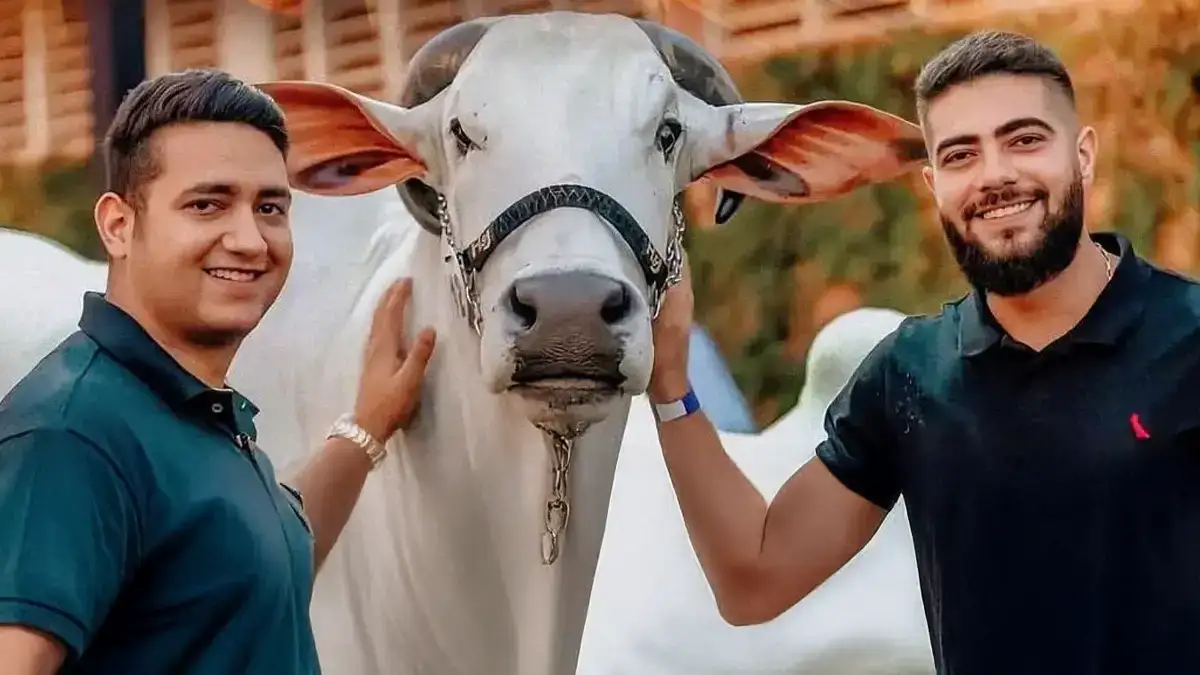 Henrique & Juliano Impressionam com Fazenda Milionária “Terra Prometida” e Pecuária de Elite no Tocantins Terra Prometida, a fazenda da dupla sertaneja Henrique e Juliano (Foto: Reprodução Instagram)