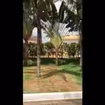 mansao cristiano araujo 5