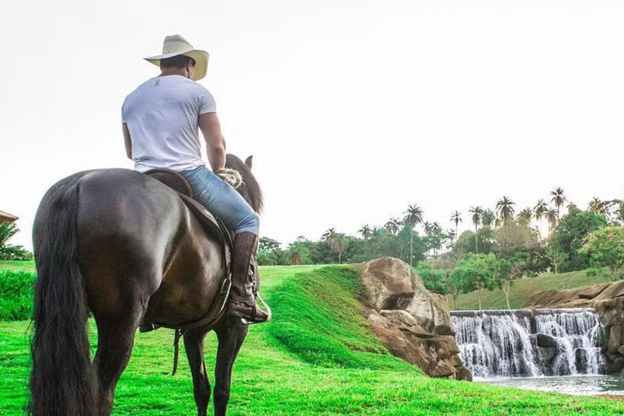 A vida de luxo do cantor sertanejo: fazendas e supercarros! A vida de luxo do cantor sertanejo: fazendas e supercarros!