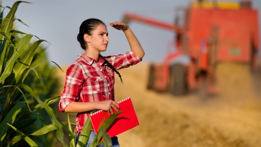 Aquecimento Global: Estrangeiros e a Terra Brasileira em Jogo Aquecimento Global: Estrangeiros e a Terra Brasileira em Jogo