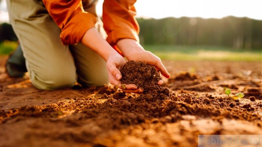 Como a Análise do Solo Potencializa Colheitas Sustentáveis