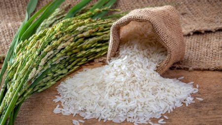 Demanda em alta: preços do arroz continuam a cair!