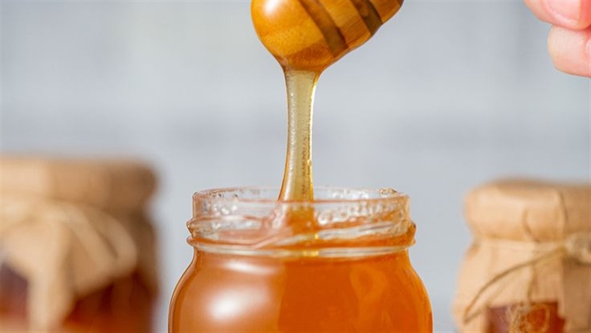 EUA: O paraíso do mel brasileiro conquista novos paladares! EUA: O paraíso do mel brasileiro conquista novos paladares!