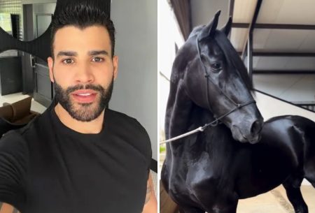 Gusttavo Lima revela seu majestoso cavalo de R$ 2,5 milhões! Gusttavo Lima revela seu majestoso cavalo de R$ 2,5 milhões!