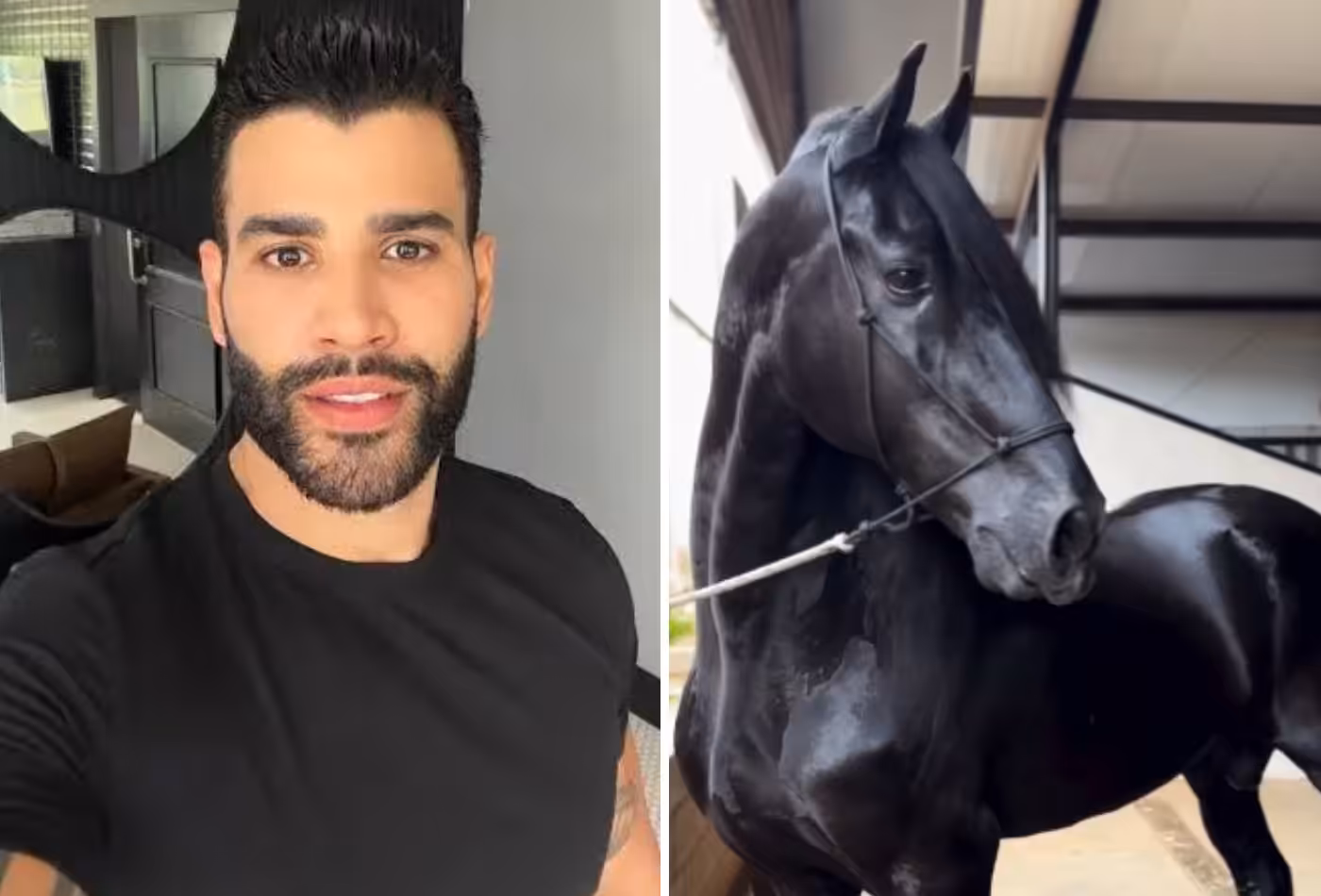 Gusttavo Lima revela seu majestoso cavalo de R$ 2,5 milhões!