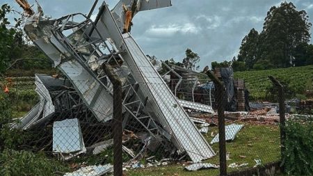 Tornado devasta Flores da Cunha: saiba como se preparar!