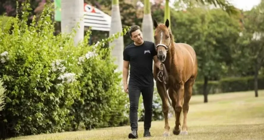 Wesley Safadão arrecada R$ 12 milhões em leilão de Quarto de Milha Wesley Safadão arrecada R$ 12 milhões em leilão de Quarto de Milha