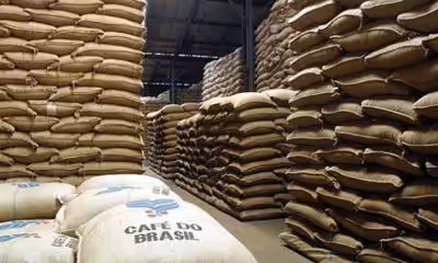 Agronegócio brasileiro redefine estratégias após novo acordo