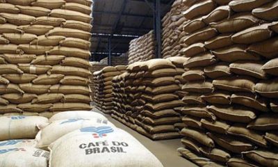 Agronegócio brasileiro redefine estratégias após novo acordo