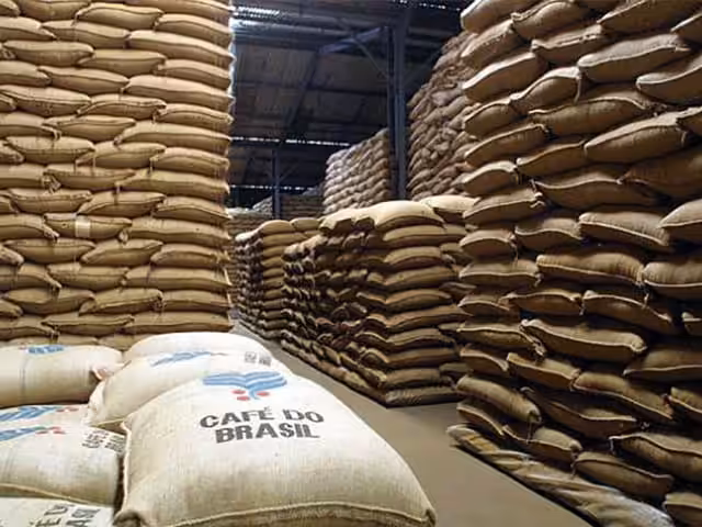 Agronegócio brasileiro redefine estratégias após novo acordo