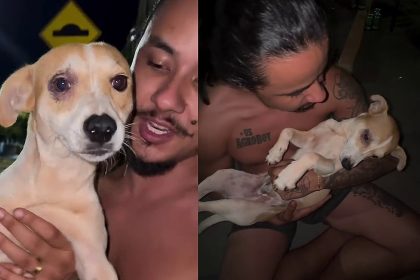 Cantor se emociona ao encontrar cãozinho mancando e revela desejos