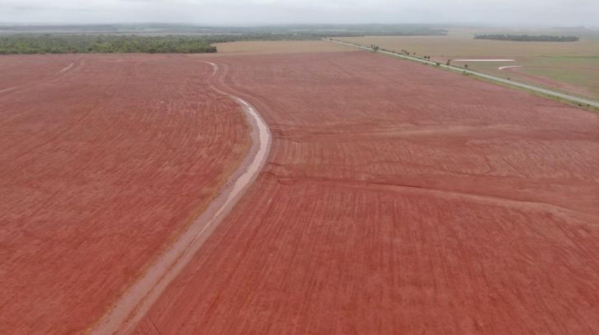 FCO destina R$ 3,2 bilhões a Mato Grosso do Sul; 75% no campo
