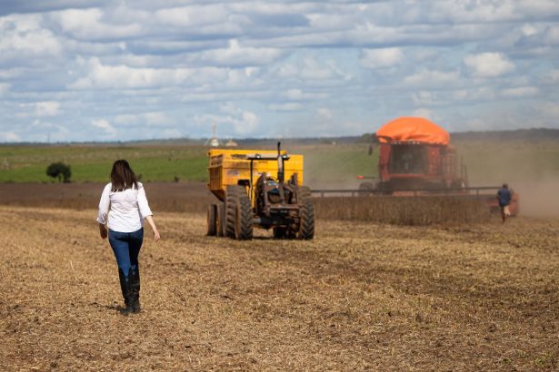 Grupo Forte Agro pede recuperação judicial por inadimplência