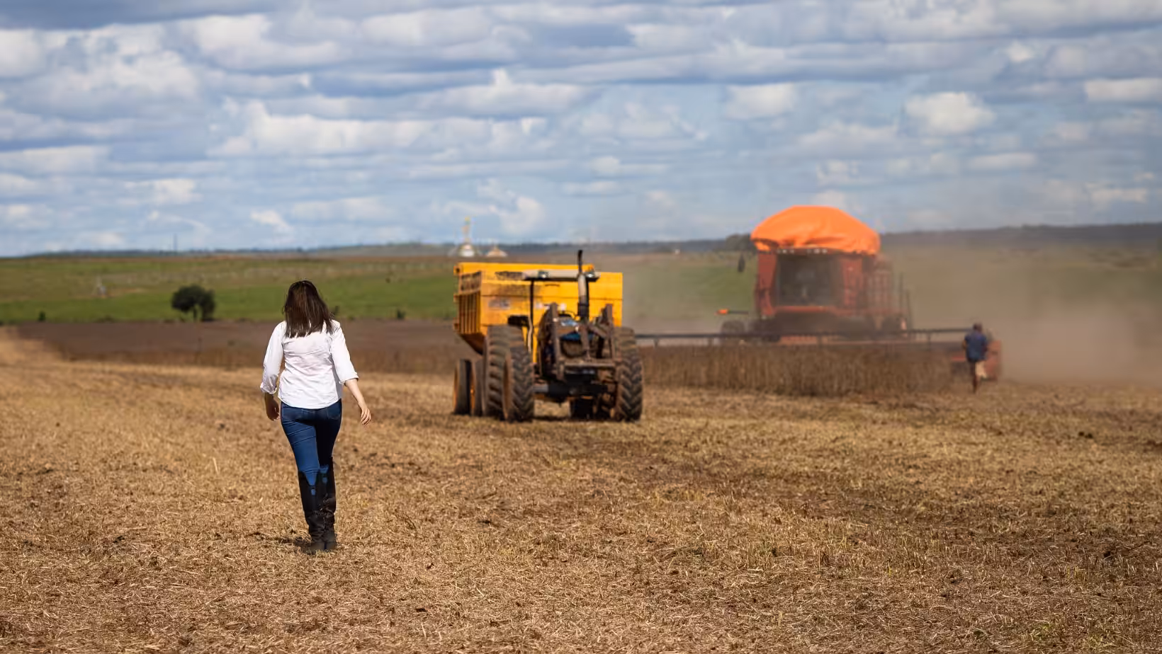 Grupo Forte Agro pede recuperação judicial por inadimplência
