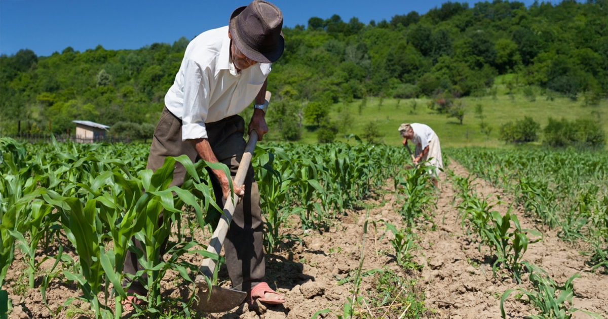 Inadimplência do agronegócio desacelera no 3º trimestre, revela Serasa