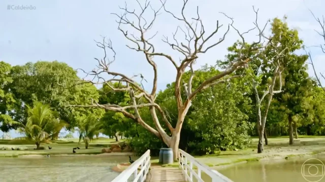 fazenda maiara e maraisa 05