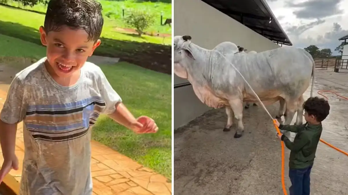 Léo, filho de Marília Mendonça vive infância raiz em fazenda e imagem viraliza (Foto: Divulgação)