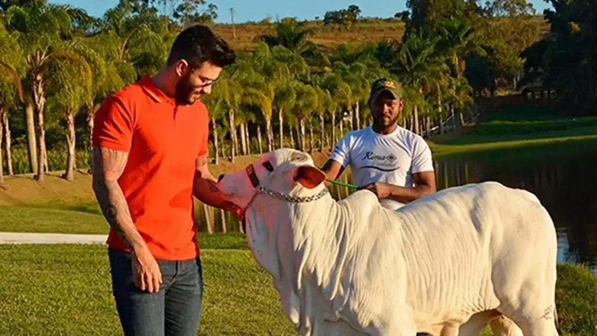 Gusttavo Lima compra fazenda colossal e vira rei do agro Gusttavo Lima compra fazenda colossal e vira rei do agro
