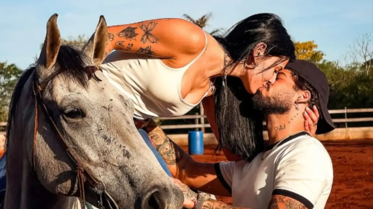Ana Castela posta vídeo de cachorro e fãs veem indireta venenosa para Zé Felipe Ana Castela posta vídeo de cachorro e fãs veem indireta venenosa para Zé Felipe