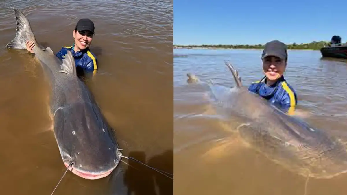 Naiara Azevedo pesca peixe de 2 metros no Araguaia e surpreende fãs na web Naiara Azevedo pesca peixe de 2 metros no Araguaia e surpreende fãs na web